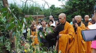 Monks with plants