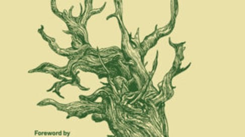 Hiking Zen book