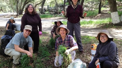 Volunteer clean up
