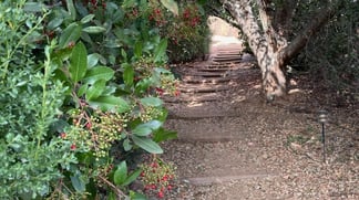 IMG 20250209 025553 1