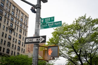 Plum Village in NYC 2026 05170