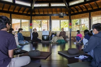 D8 D51173 7 B87 4459 A44 E 2 D4 B685 DE8 A8 scaled