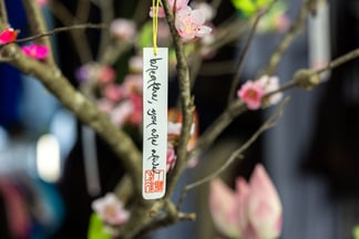 a tag reading "breathe, you are alive" hanging from a tree branch
