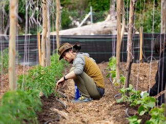 Happy Farm 20250426 2