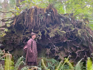 Monk walking in the woods next to roots
