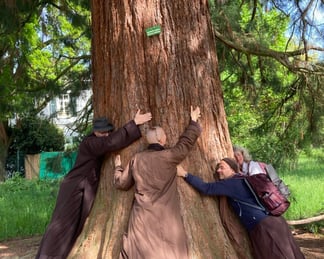 Monastics hugging a tree