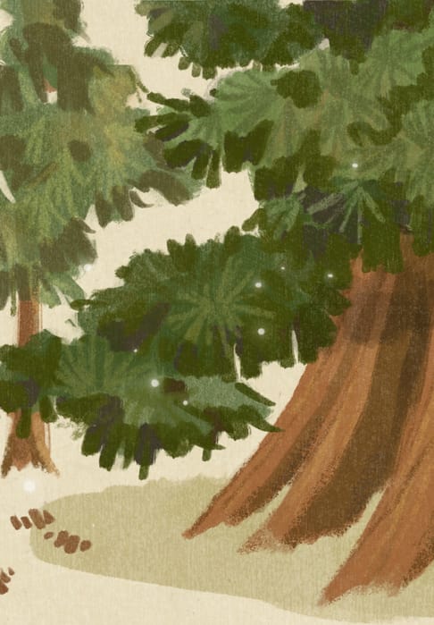 Mimochai Towering Giants Flipped