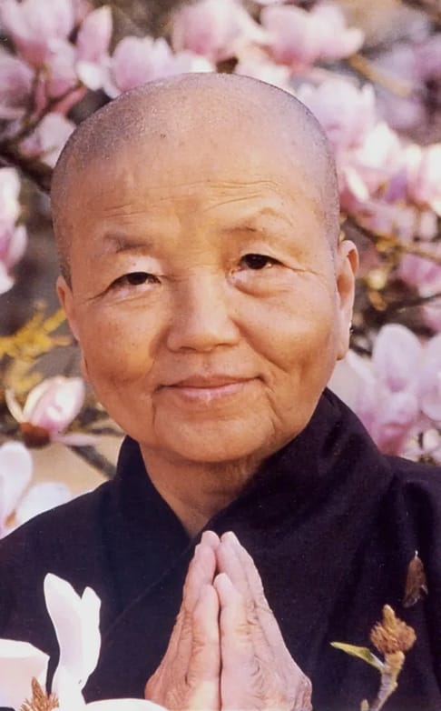 Sister Chan Khong Magnolia portrait1