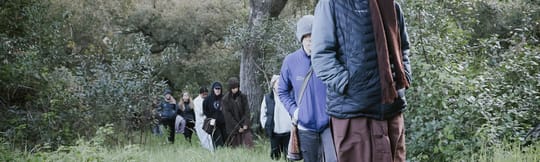 Going on a walk in the field