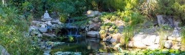 Mindful living