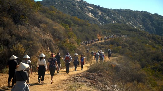 Monastic Walk Brighter