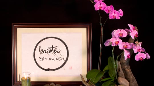 Breath you are alive 8x10 lr