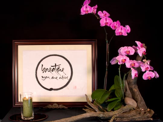 Breath you are alive 8x10 lr