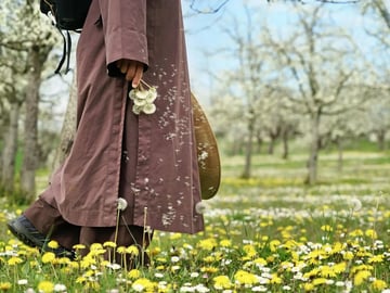 Off dandelions plumvillage
