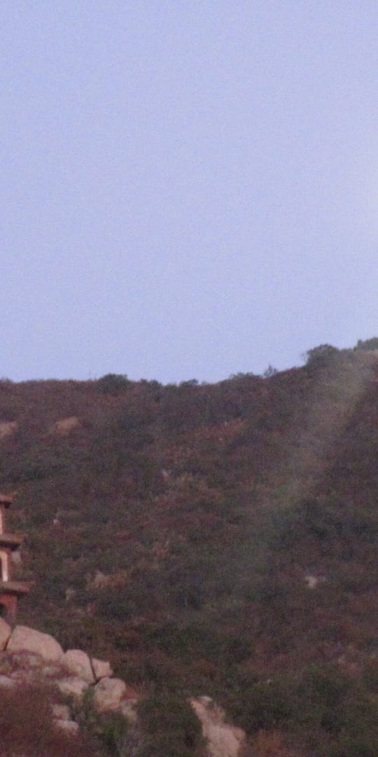 IMG 7885