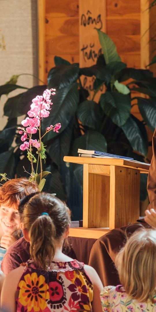 TNH school of Interbeing phap luu