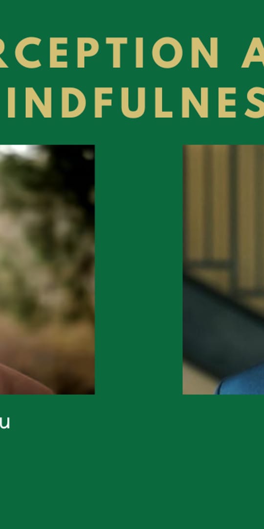 Perception You Tube Thumbnail