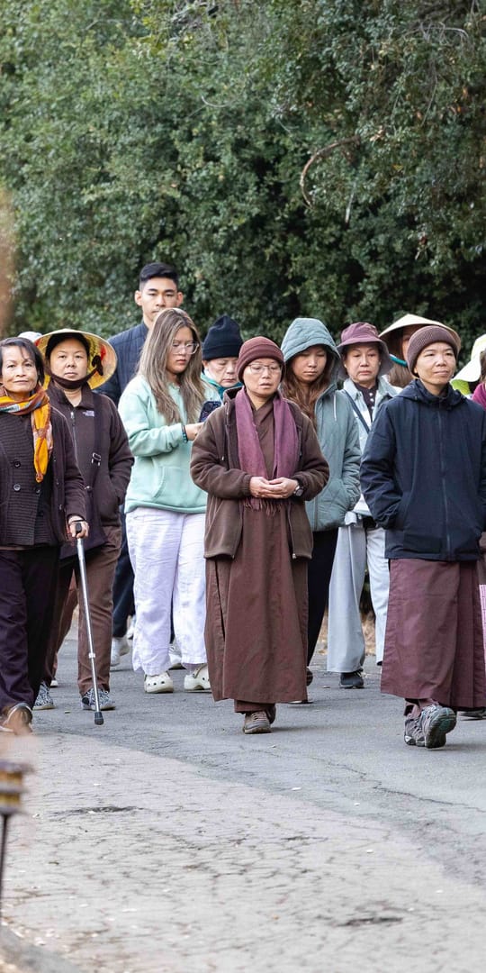 Vietnamese Retreat Walking Meditation