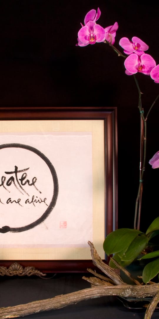 Breath you are alive 8x10 lr