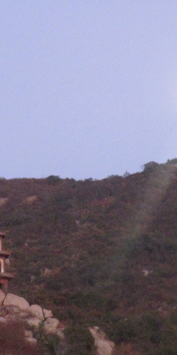 IMG 7885