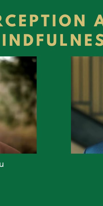 Perception You Tube Thumbnail