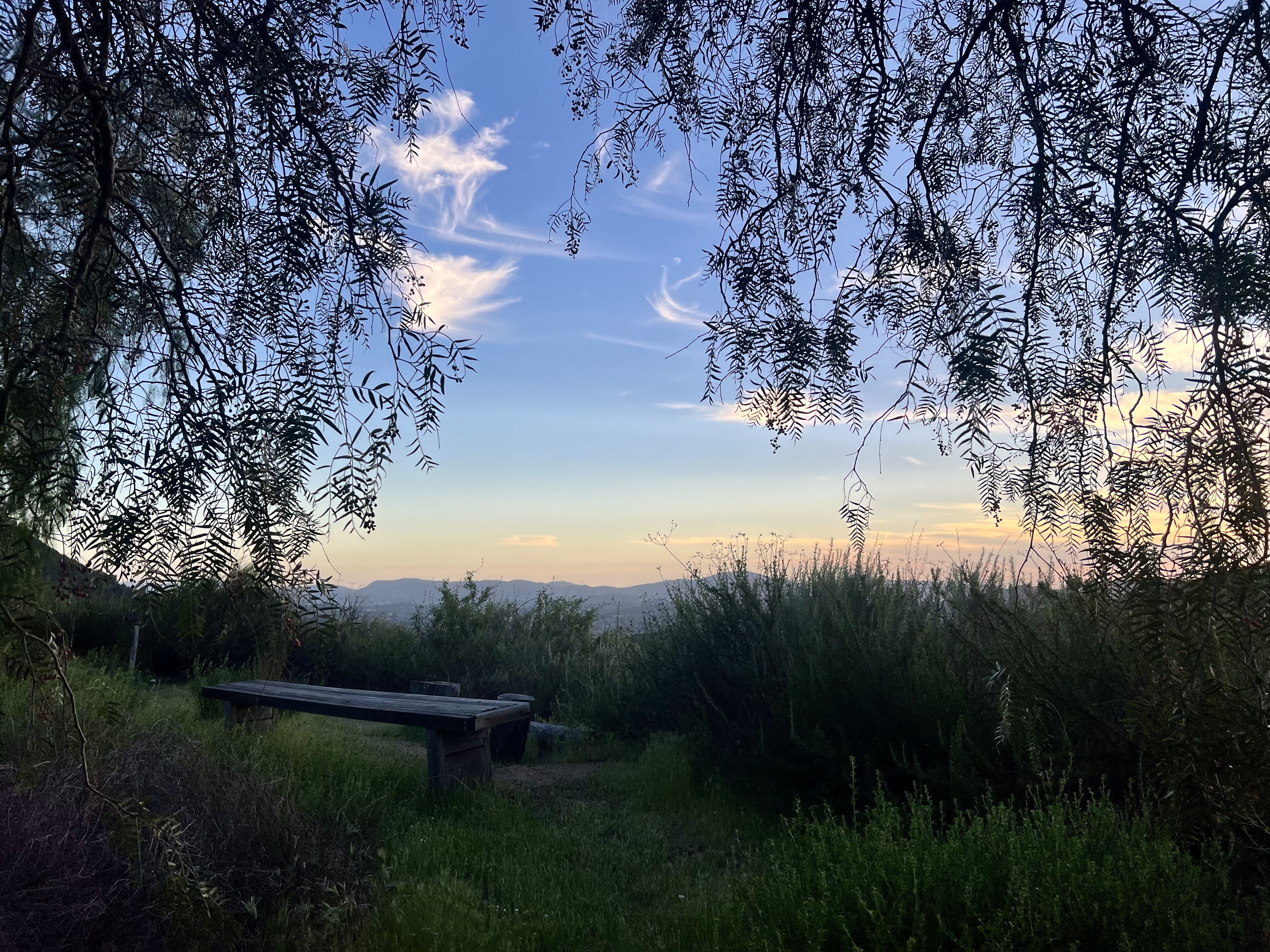 Day of Mindfulness: December 20, photo 2 of 3