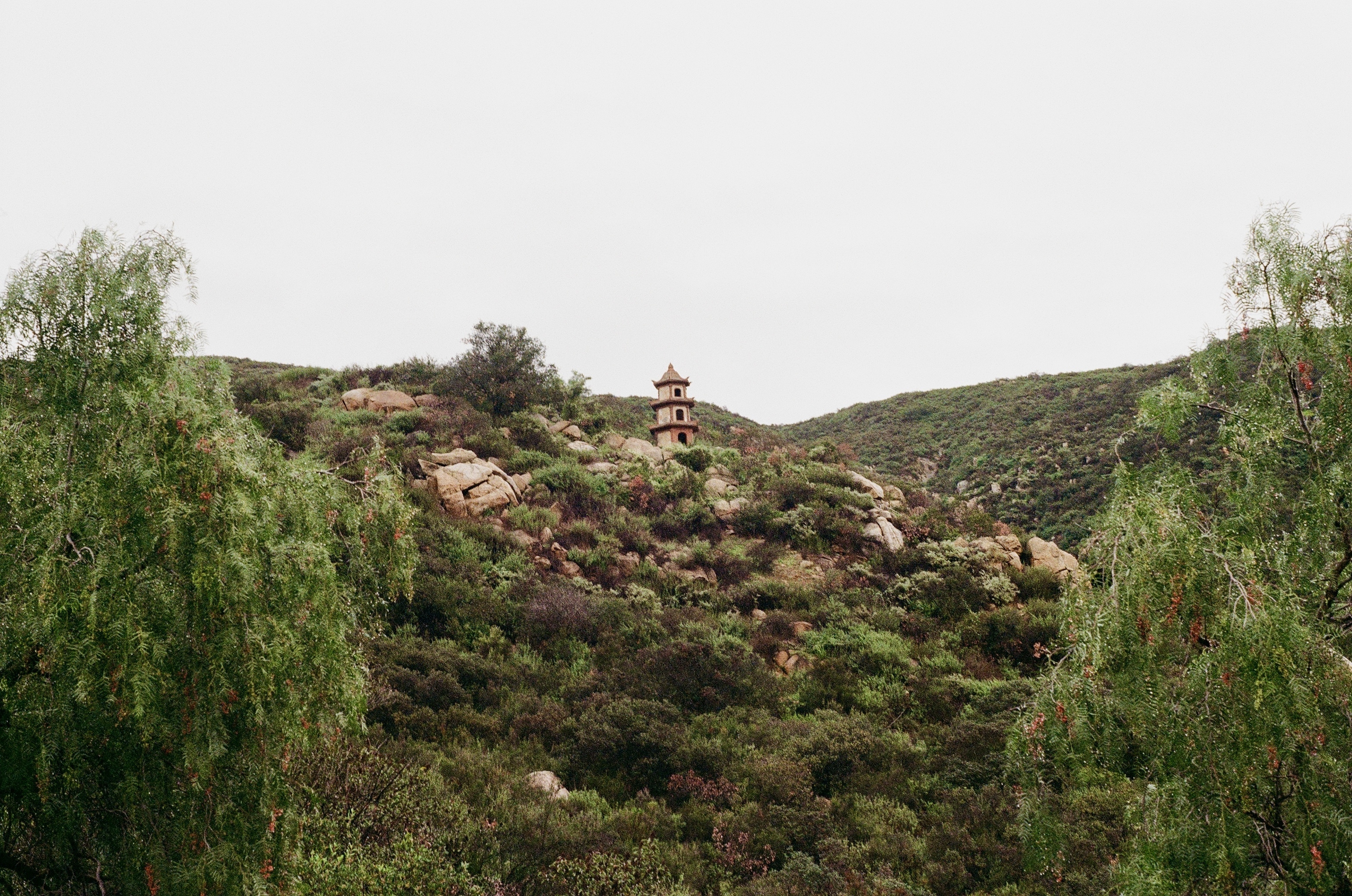 Day of Mindfulness: December 27, photo 2 of 3
